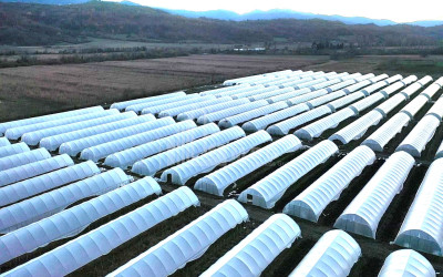 For Sale Land Vani Imereti