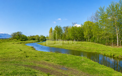 For Sale Orchards Land In Abasha