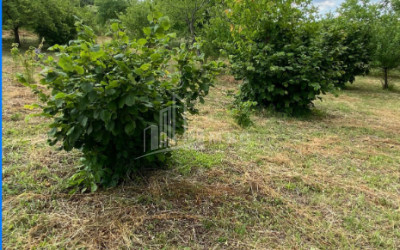 For Sale Country Land In Lamiskana, Kaspi