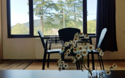 For Sale Flat, in Bakuriani