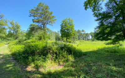 Продается Дачные Земля, в Город Поти