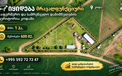 For Sale Production / warehousing space, Business yard Commercial In Koda, Tetritskaro