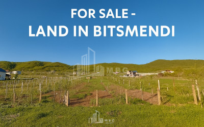 იყიდება მიწის ნაკვეთი ბიწმენდი მცხეთა მცხეთა   მთიანეთი