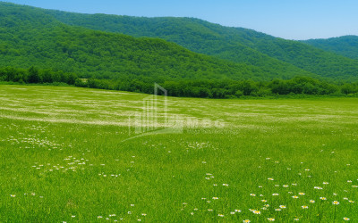 Продается Земля Гомбори Сагареджо Кахети