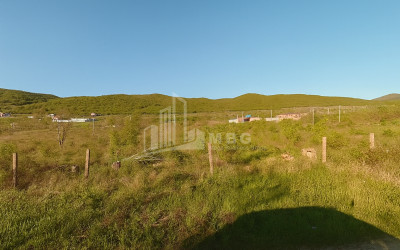 Продается Земля Бицменди Мцхета Мцхета   Мтианети