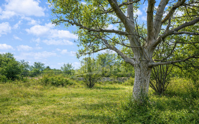 Продается Старое здание Дом - Вилла В Шалаури, Телави