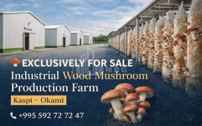 იყიდება კომერციული ფართი ქალაქი ყვარელი ყვარელი კახეთი