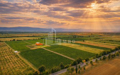 იყიდება მიწის ნაკვეთი ნაფარეული თელავი კახეთი