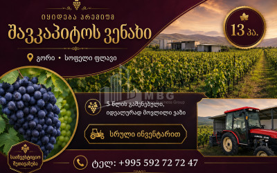 For Sale Vineyard - Chateau Land In Gori