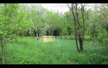 For Sale House - Villa, in Tskneti