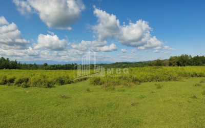 For Sale Land Eki village Senaki Samegrelo   Upper Svaneti