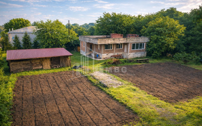 Business for sale Commercial Telavi Kakheti