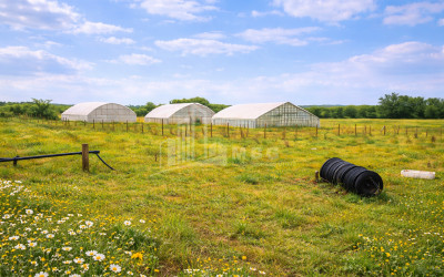 Продается Земля Имерети