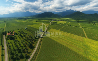For Sale Land Kvareli Kakheti