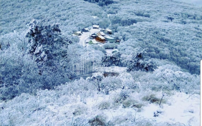 Продается Дом - Вилла В Коджори, Мтацминда Район