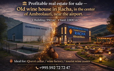 For-Sale-Commercial-Ambrolauri-Racha