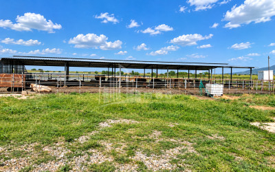 For Sale Production / warehousing space, Business yard Commercial In Koda, Tetritskaro