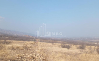 For Sale Land Samtatskaro Dedoplistskaro Kakheti