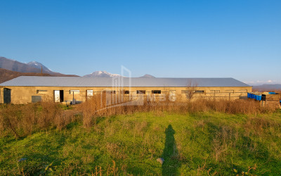 Продается Земля Зинобиани Кварели Кахети