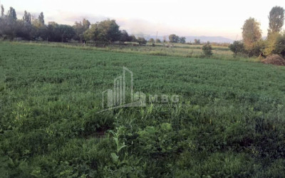 For Sale Land Mukhrani Mtskheta Mtskheta   Mtianeti