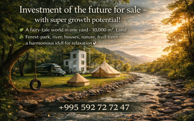 Business/Investment for Sale Leisure _ Entertainment complex Commercial In Telavi