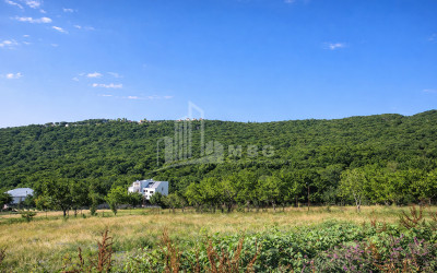 For-Sale-Land-Kiketi-Mtatsminda-District-Tbilisi