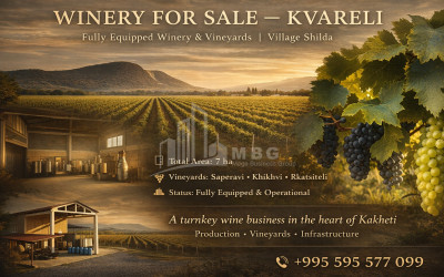 For Sale Commercial, Shilda, Kvareli, Kakheti
