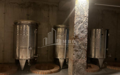 Продается Коммерческий Охио Ахмета Кахети