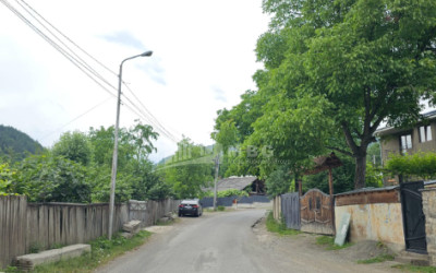 For Sale House Villa Kvibisi Borjomi Samtskhe   Javakheti