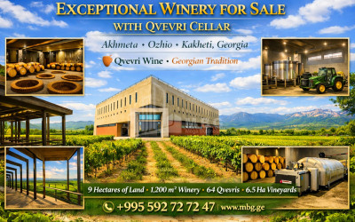 იყიდება შატო / ღვინის ქარხანა / მარანი კომერციული ფართი ოჟიოში, ახმეტა