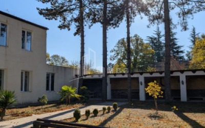 For Sale Commercial Akhmeta Kakheti