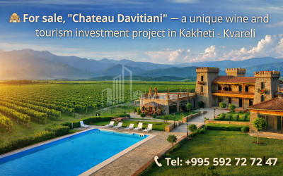 იყიდება სახლი აგარაკი საგურამო მცხეთა მცხეთა   მთიანეთი