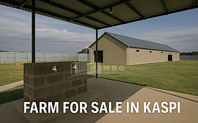 For Sale Commercial Gomi Kaspi Shida Kartli
