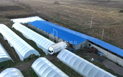 For Sale Land Vani Imereti