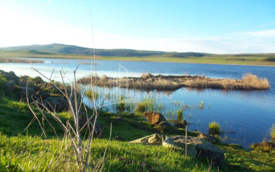 იყიდება მიწის ნაკვეთი წალკა ქვემო ქართლი