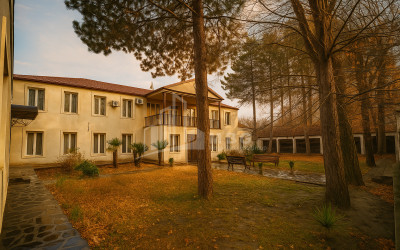 For Sale Commercial Akhmeta Kakheti