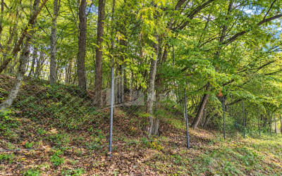 For Sale Country Land In Birtvisi Gorge, Tetritskaro