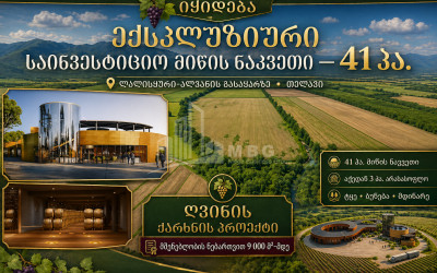 იყიდება სავენახე - საშატოე მიწის ნაკვეთი თელავში