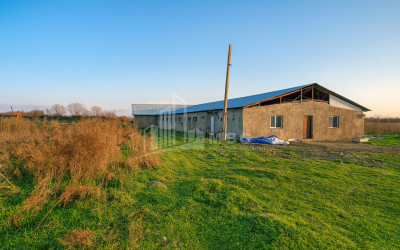 Продается Земля Зинобиани Кварели Кахети