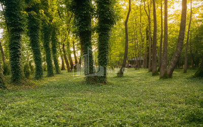 იყიდება ბიზნესი კომერციული ფართი თელავი კახეთი
