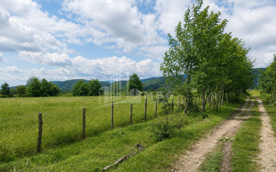 For Sale Orchards Land In Abasha