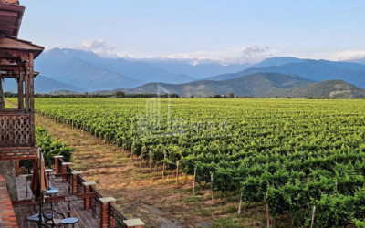 For Sale Commercial Kvareli City Kvareli Kakheti