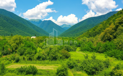 For Sale Commercial Kvareli Kakheti