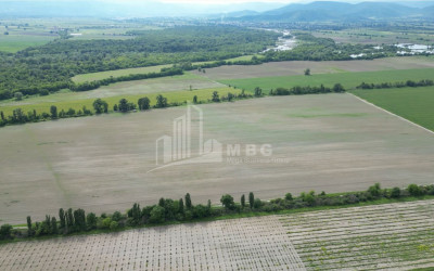 For Sale Land Telavi Kakheti