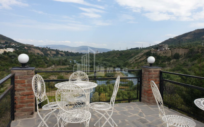 For Rent House - Villa, in Village Tsitsamuri