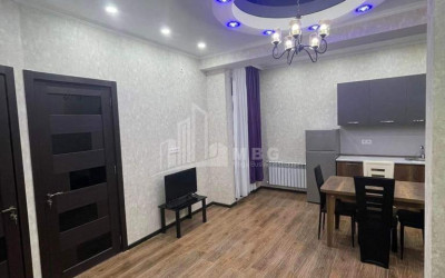 For-Rent-Flat-Asmati-Street-Dighmis-veli-Saburtalo-District-Tbilisi