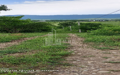 იყიდება მიწის ნაკვეთი წინამძღვრიანთკარი მცხეთის მუნიციპალიტეტი მცხეთა   მთიანეთი
