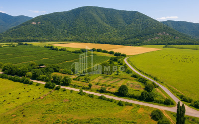 For Sale Land Kvareli Kakheti