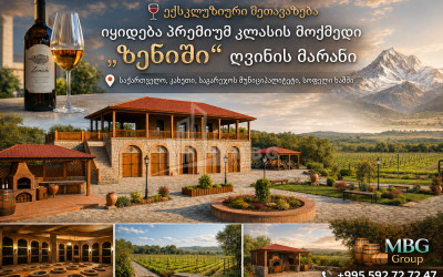 Продается Замок / Винный завод Коммерческий В Хашми, Сагареджо