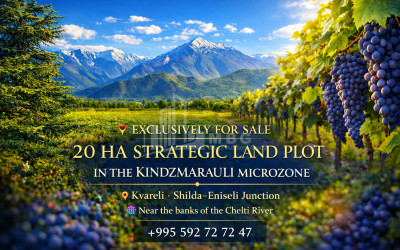 For Sale Vineyard - Chateau Land In Eniseli, Kvareli